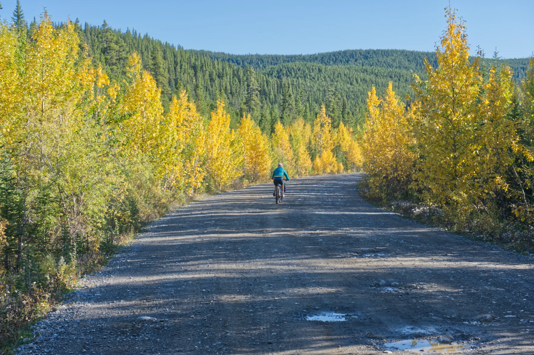 Bikepacker riding a gravel road in Alberta