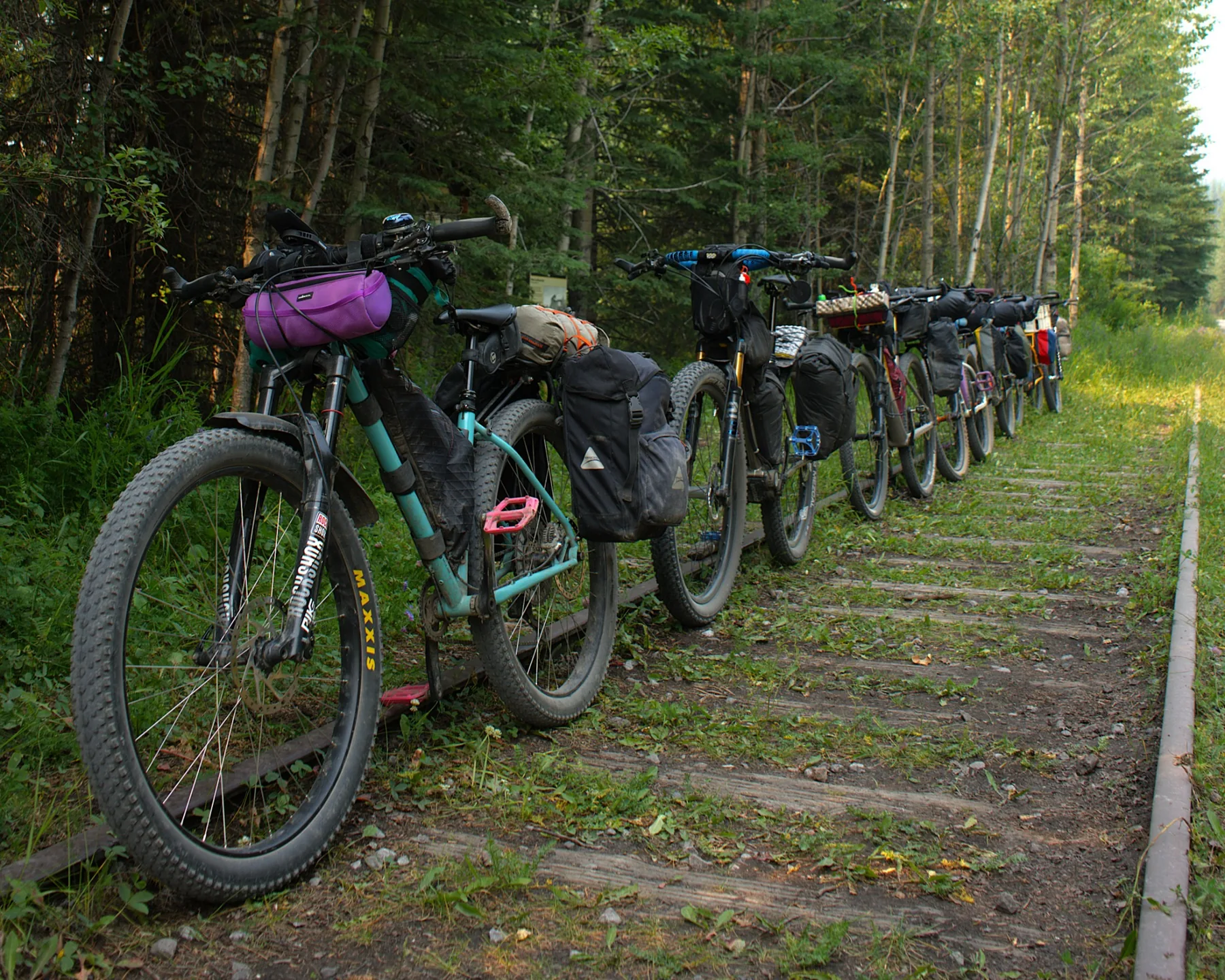 Loaded bikepacking bikes lined up on an old rail corridor