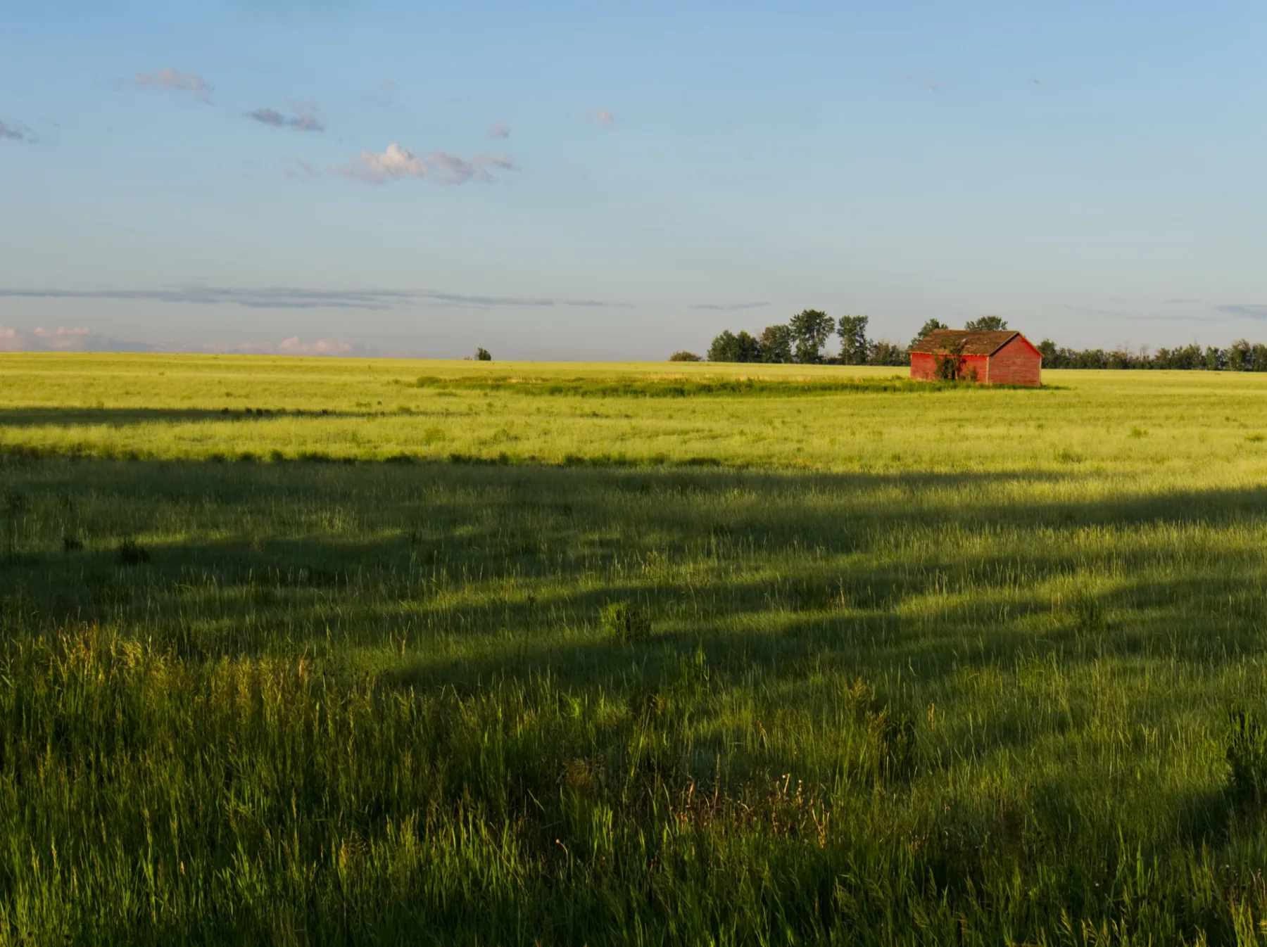 Red barn in an Alberta prairie field
