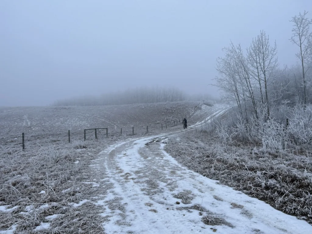 Bikepacker riding a snow-covered rural Alberta road